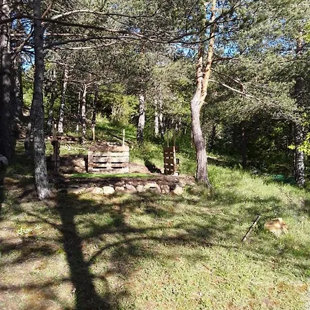 Les Cigales בית הארחה Chateauvieux (Var)